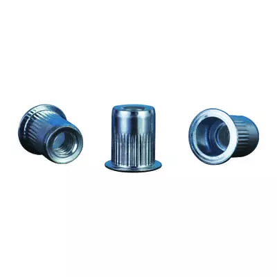 Carbon Steel Rivet Nuts