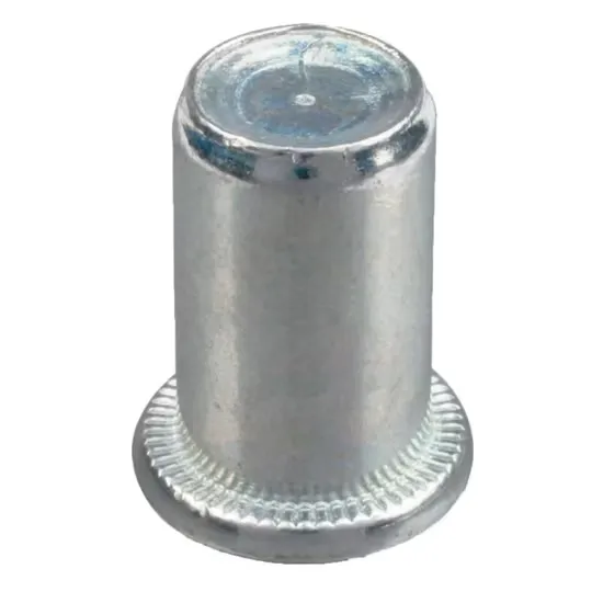 Flat Head Blind Rivet Nut