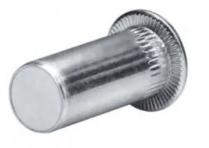 Flat Head Blind Rivet Nut
