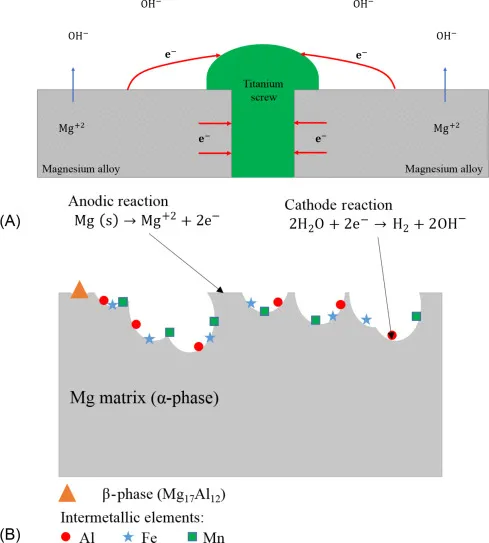 Galvanic Corrosion