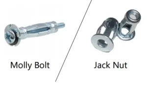 Jack Nut vs Molly Bolt